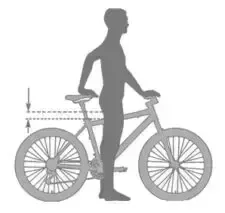 Sizing Bicycle