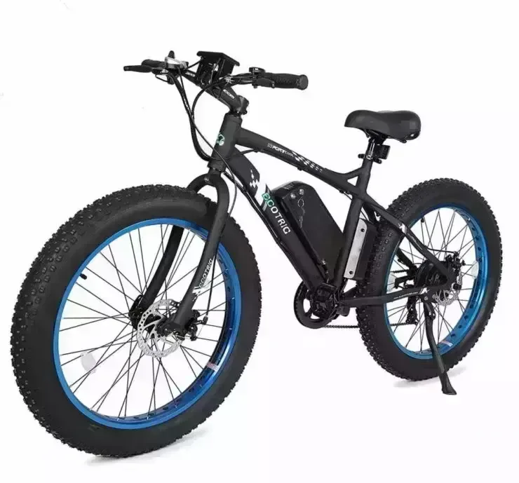 ECOTRIC Fat Tire Electric Bike