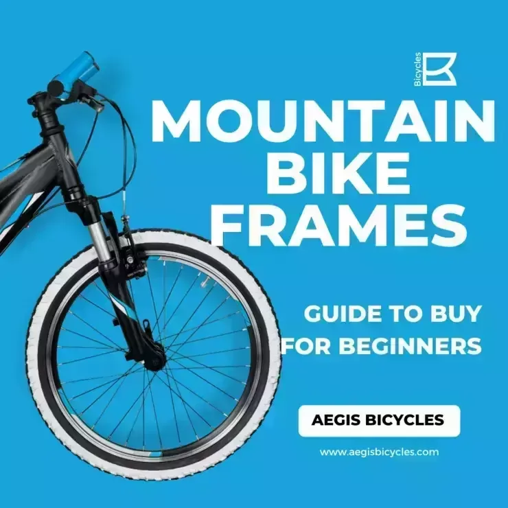 Mountain Bike Frames