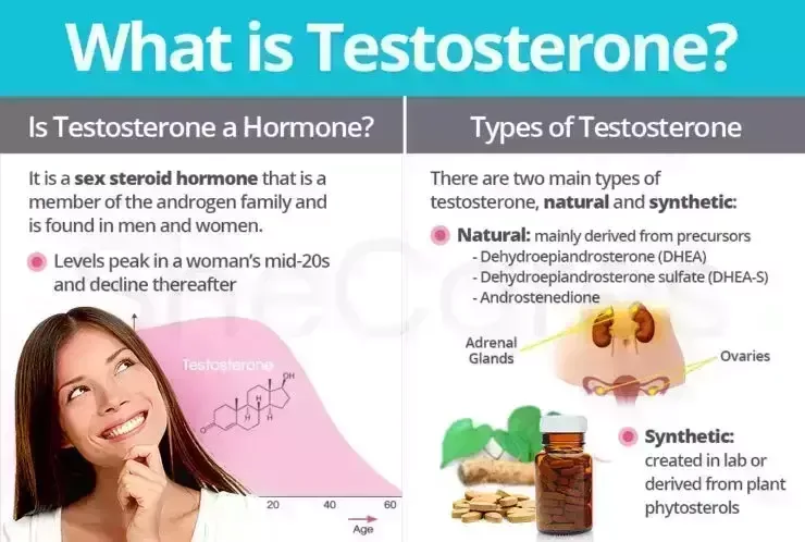 testosterone is 
