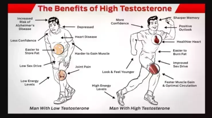 How to increase testosterone