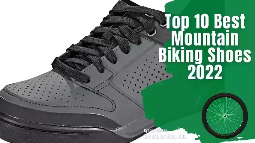 Top 10 Best Mountain Biking Shoes