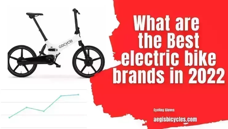 What are the best electric bike brands in 2022