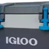 Igloo BMX 52 Quart Cooler with Neat Riser Engineering, Fish Ruler, and Tie-Down Details