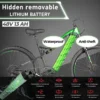 PASELEC Electric Bike